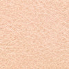 Nappa Leather Samples