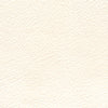 Nappa Leather Samples