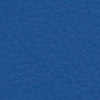 Nappa Leather Samples