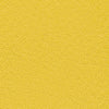 Nappa Leather Samples