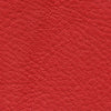 Nappa Leather Samples