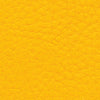 Nappa Leather Samples